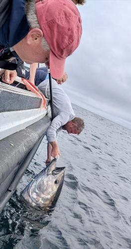 Faldore Skipper James Williams's Photo