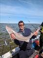 12 lb Starry Smooth-hound by Dan.